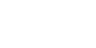 FESTIVAL